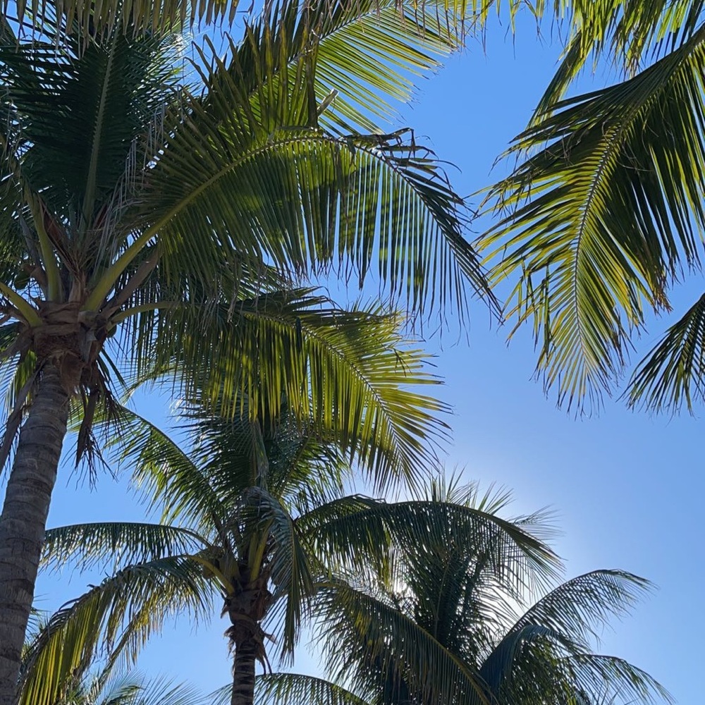 Meet your Posher, Ava